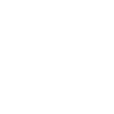 What Guides Us/Icon of Handshake with Semi-circle of Stars on Top