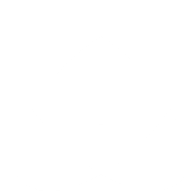 Vanguard/Atom Icon