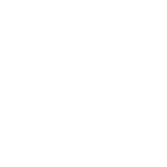 Vanguard/Icon of Quality Seal with Star in Center