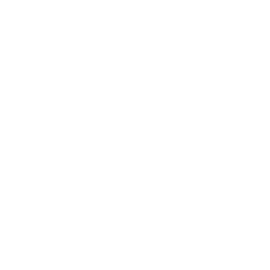 Icon of Gear with Right-Pointing Double Arrow in Center