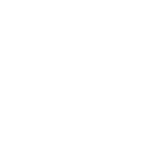 Vanguard/Gun Sight Icon