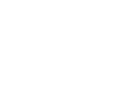 Vanguard/Software Icon