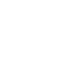 Software Icon