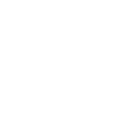 Game Plan Icon